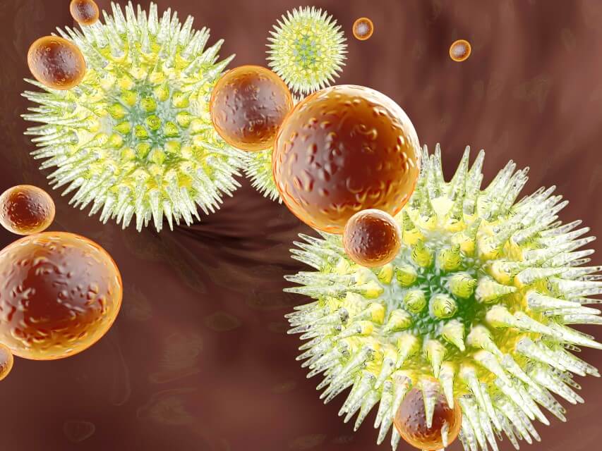 virus-attacking-immune-system-immune-building